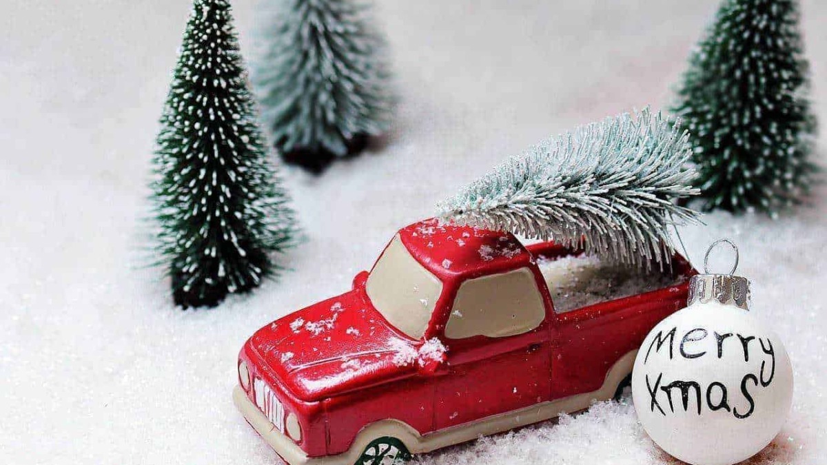 Fiorello di Natale in miniatura su neve con albero di Natale e pallina decorativa "Merry Xmas" per decorazioni natalizie e tradizioni festive.