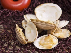 Vongole fresche aperte su tovagliolo di plastica bordeaux, dettagli visivi del frutto di mare con guscio naturale, ideale per ricette di pesce e mare, attenzione alla qualità e alla freschezza.