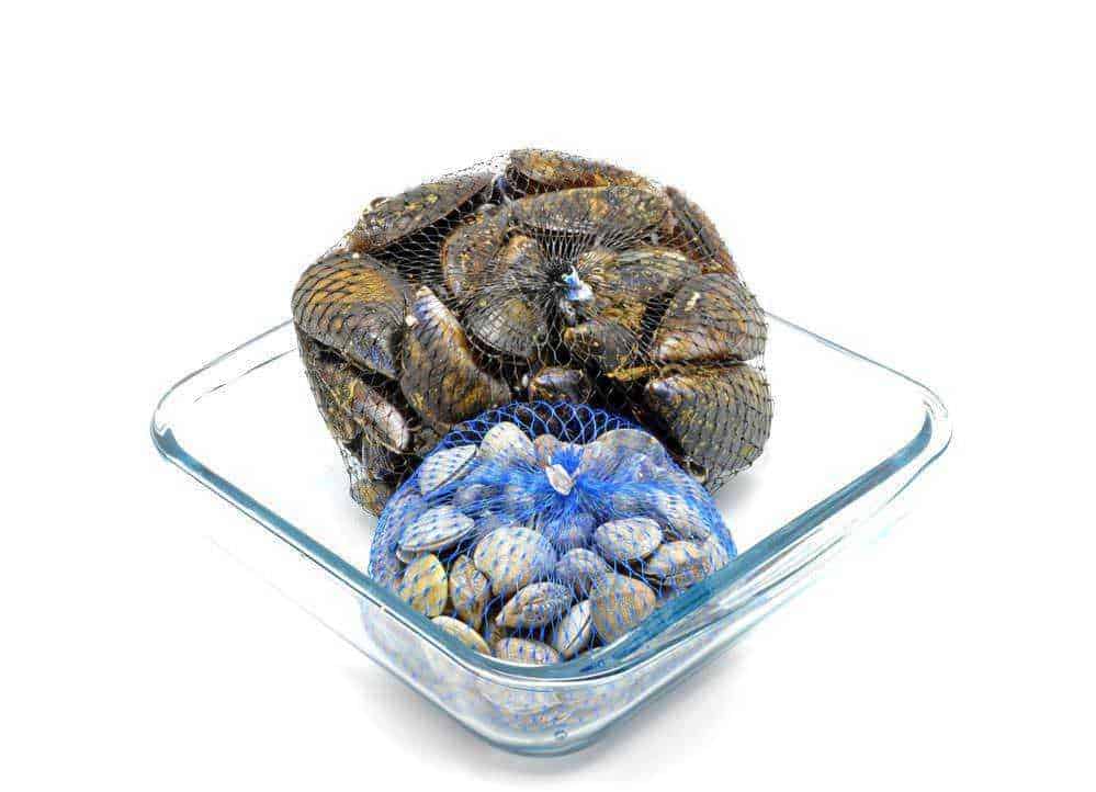 Fresca raccolta di vongole e telline in retine, pronte per essere cucinate o consumate come antipasto, tipiche della cucina italiana di mare.