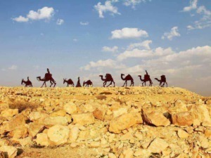 Tappeto di rocce nel deserto con silhouette di cammelli e guide sullo sfondo, paesaggio estivo con cielo azzurro e nuvole sparse, scena tipica dei viaggi nel Sahara.