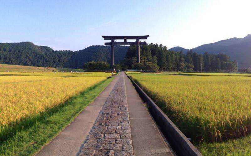 Torii giapponese tra campi di riso verdi e montagne, simbolo di cultura e spiritualità. Strada pedonale di pietra conduce al torii, immersa in un paesaggio naturale sereno e tradizionale.