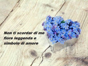 Fiore primula blu in vaso su tavola di legno, poesia d'amore, decorazione floreale, messaggio romantico, simbolismo dei fiori, appunti sul blog.