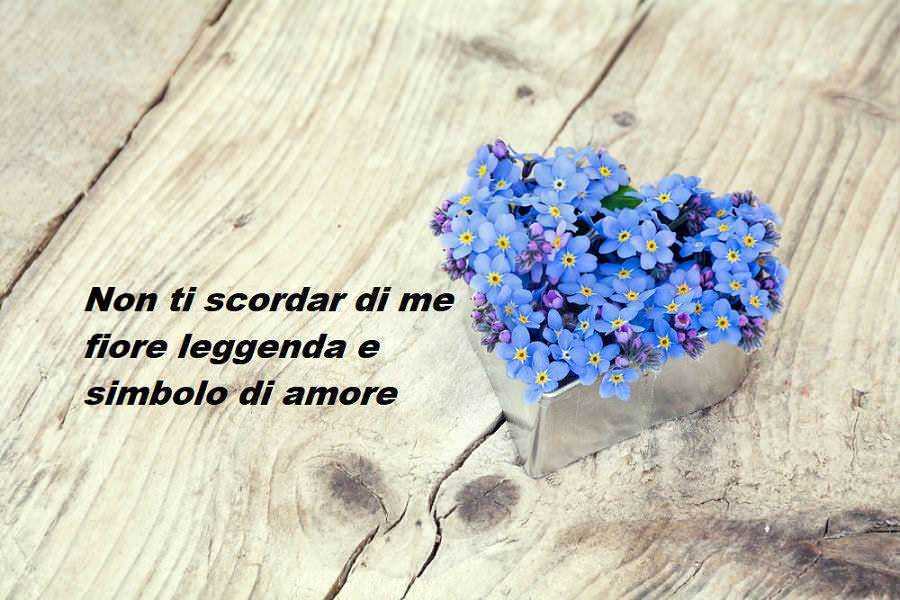 Fiore primula blu in vaso su tavola di legno, poesia d'amore, decorazione floreale, messaggio romantico, simbolismo dei fiori, appunti sul blog.