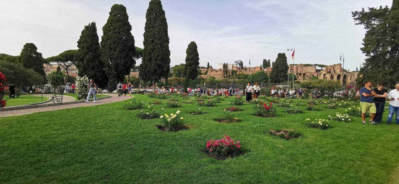 Fioriti e monumenti storici nel Parco degli Acquedotti a Roma, con alberi pini e turisti che passeggiano, atmosfera rilassante e scenari storici.