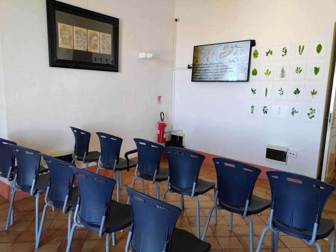 Aula didattica con sedie nere e parete con disegni di alberi e una lavagna con testo scritto, ambiente educativo illuminato e organizzato per corsi o incontri di studio.