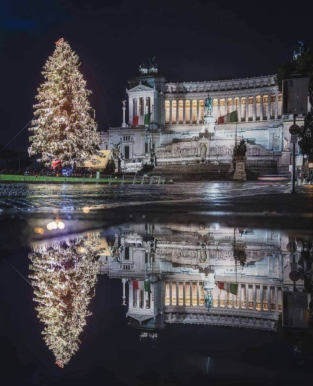 Spelacchio: l'albero di Natale