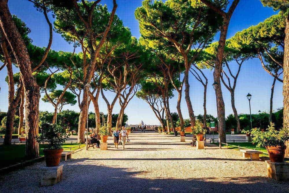 Spiaggia di pini marittimi in un parco urbano con alberi alti e panchine, atmosfera estiva, turisti che passeggiano sotto l'ombra, ideale per relax e promozione del turismo ambientale italiana.