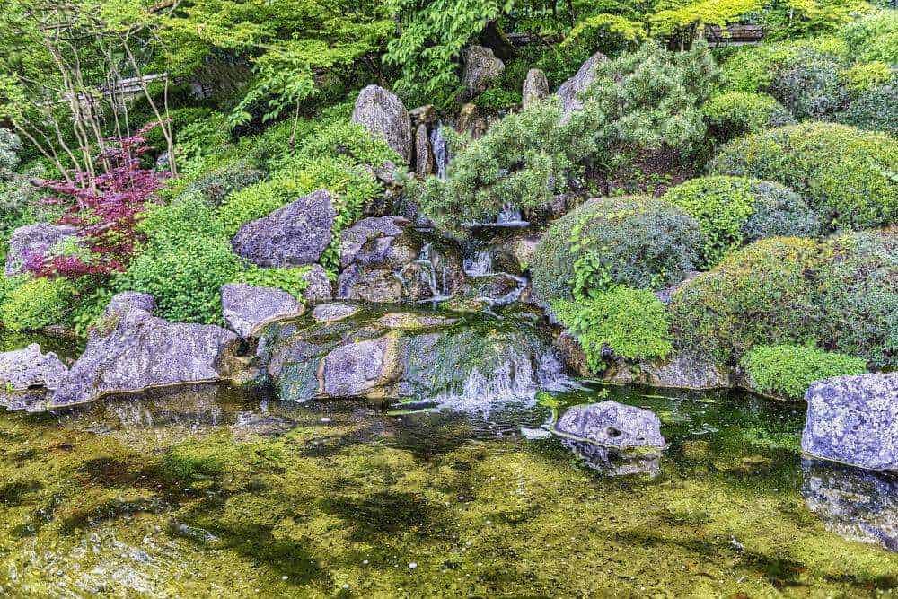 Ruscello con ciottoli e vegetazione rigogliosa in un giardino zen, paesaggio rilassante e naturale, ideale per il benessere e la meditazione, elementi di un giardino giapponese.