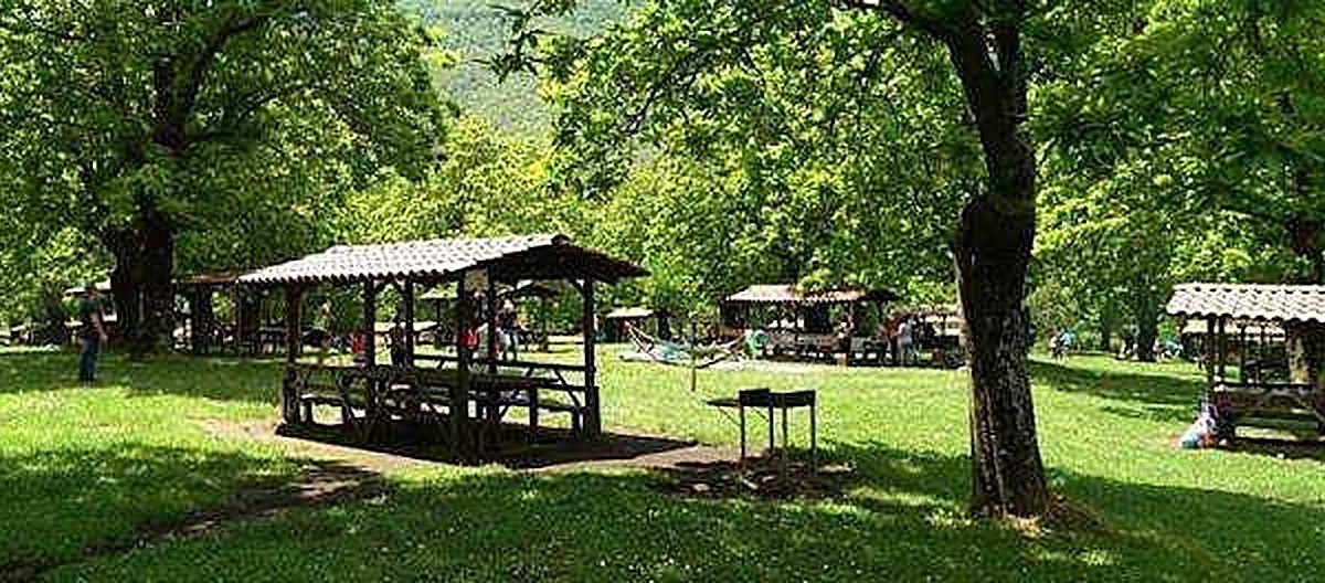 Lungarno con panchine e aree verdi, parco pubblico soleggiato con alberi rigogliosi, ambiente naturale rilassante per passeggiate all'aperto e attività ricreative all'aperto.