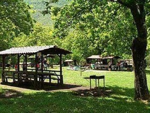Lungarno con panchine e aree verdi, parco pubblico soleggiato con alberi rigogliosi, ambiente naturale rilassante per passeggiate all'aperto e attività ricreative all'aperto.