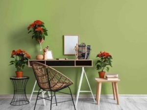 Elegante scrivania moderna con piante di poinsettia in un ambiente di home office decorato con stile minimalista, sfondo verde e dettagli eleganti.
