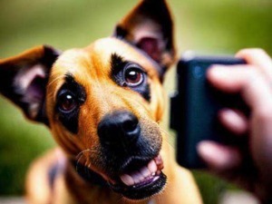 Un cane masticando un telefono cellulare, simbolo di divertimento e innocenza, catturato all'aperto con sfondo verde naturale.