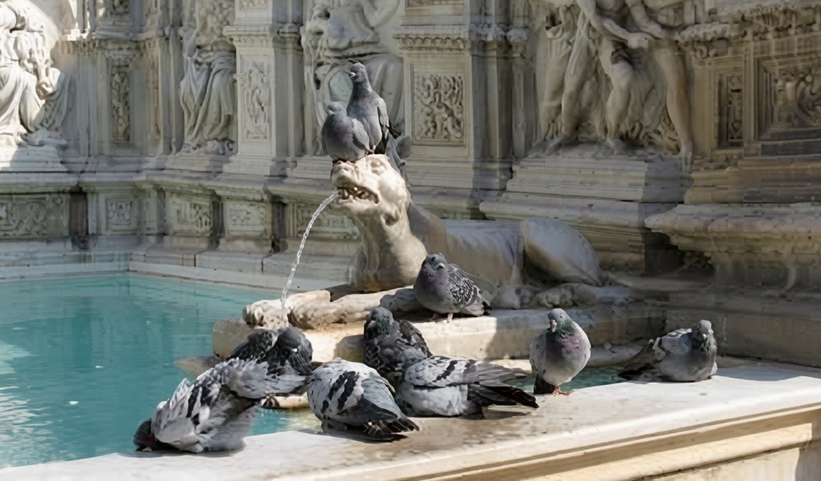 Fontana con statue di leoni e figure scolpite in marmo, ambientata in un contesto storico, con acqua che scorre nella vasca. Perfetta per immagini di monumenti storici e arte classica.