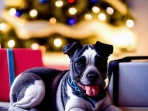 Idee per le vacanze di Natale pet-friendly