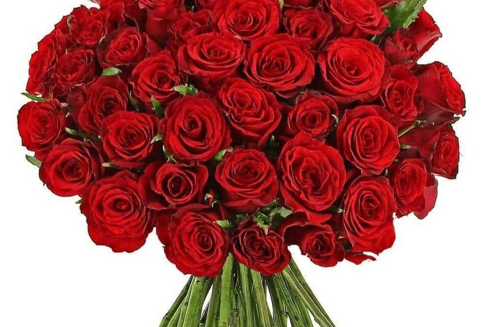 Bouquet di rose rosse, fiori romantici e simbolo di amore, perfetto per occasioni speciali come San Valentino, anniversari o per esprimere affetto e passione.