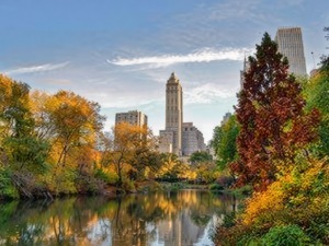 Urbano parco con città skyline, alberi autunnali e riflessi su uno specchio d'acqua, in un ambiente naturale attraversato dalla natura e l'urbanizzazione, perfetto per eventi e relax.