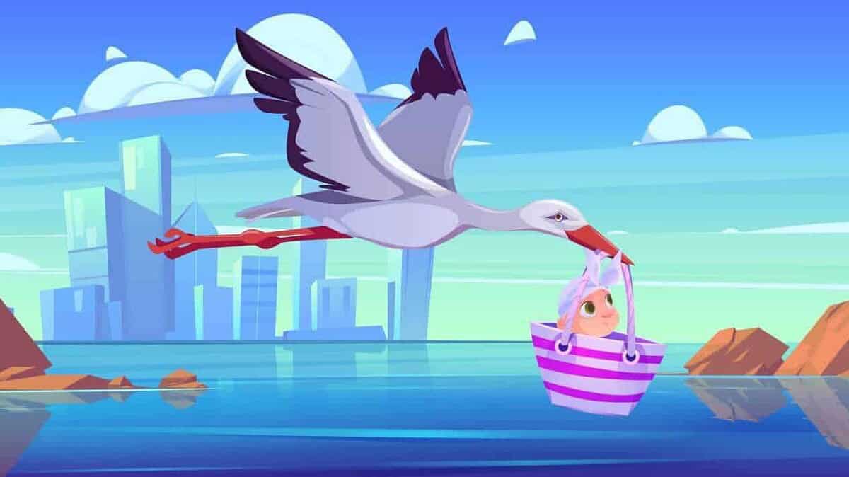 Gabbiano che vola sopra una bambina in barca sul mare con città sullo sfondo e cielo azzurro con nuvole.