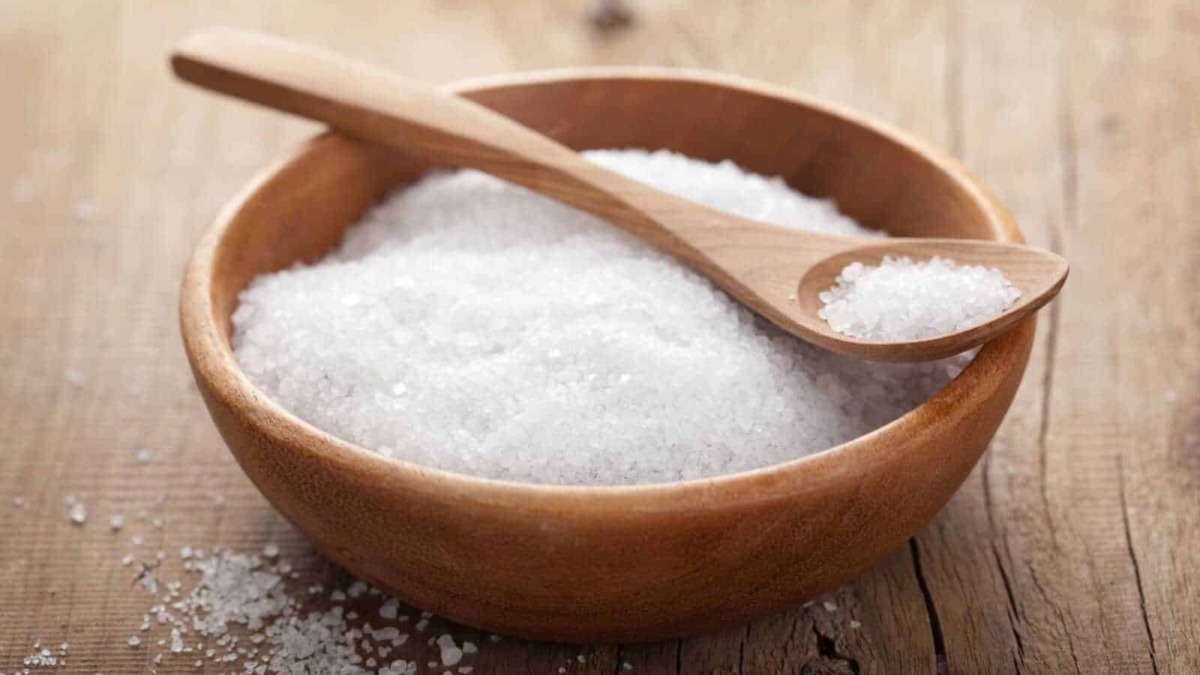 Sale da cucina, sale grosso in ciotola di legno con cucchiaio di legno, prodotto alimentare naturale, condimento per cucinare, ingrediente per ricette, immagini di cucina e gastronomia.