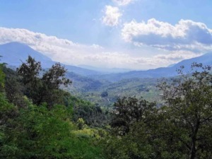 Paisa in un paesaggio montano tra vedi e boschi, con cieli nuvolosi e montagne sullo sfondo, rappresenta la bellezza naturale del panorama italiano.