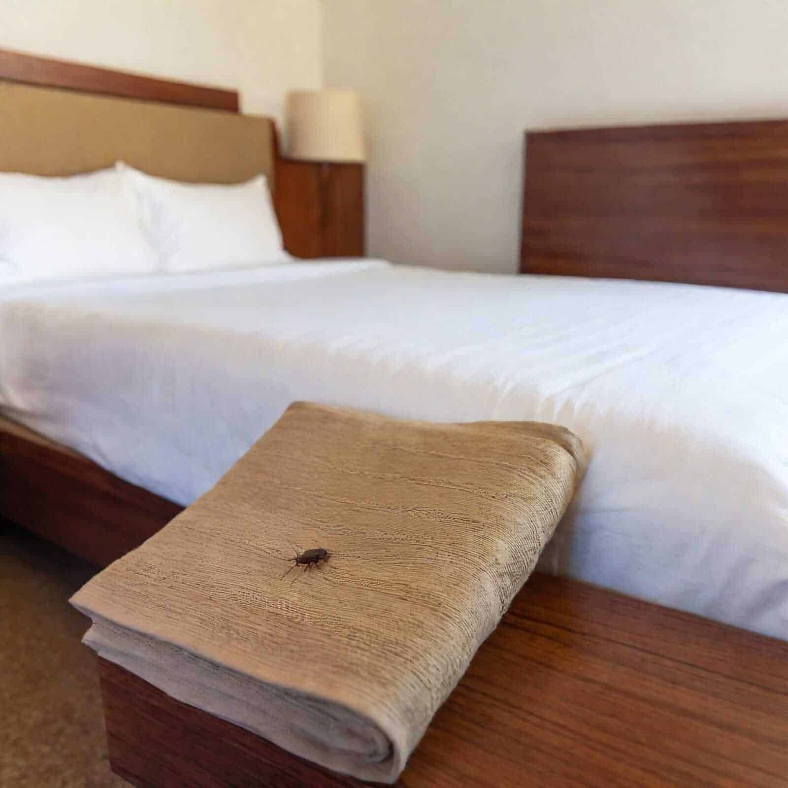Una camera da letto confortevole con letto matrimoniale, federe bianche, comodino in legno e lampada da notte, dettagli del soggiorno rilassante in un hotel o B&B.