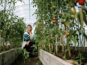 Coltivare pomodori nell'orto con piante rigogliose