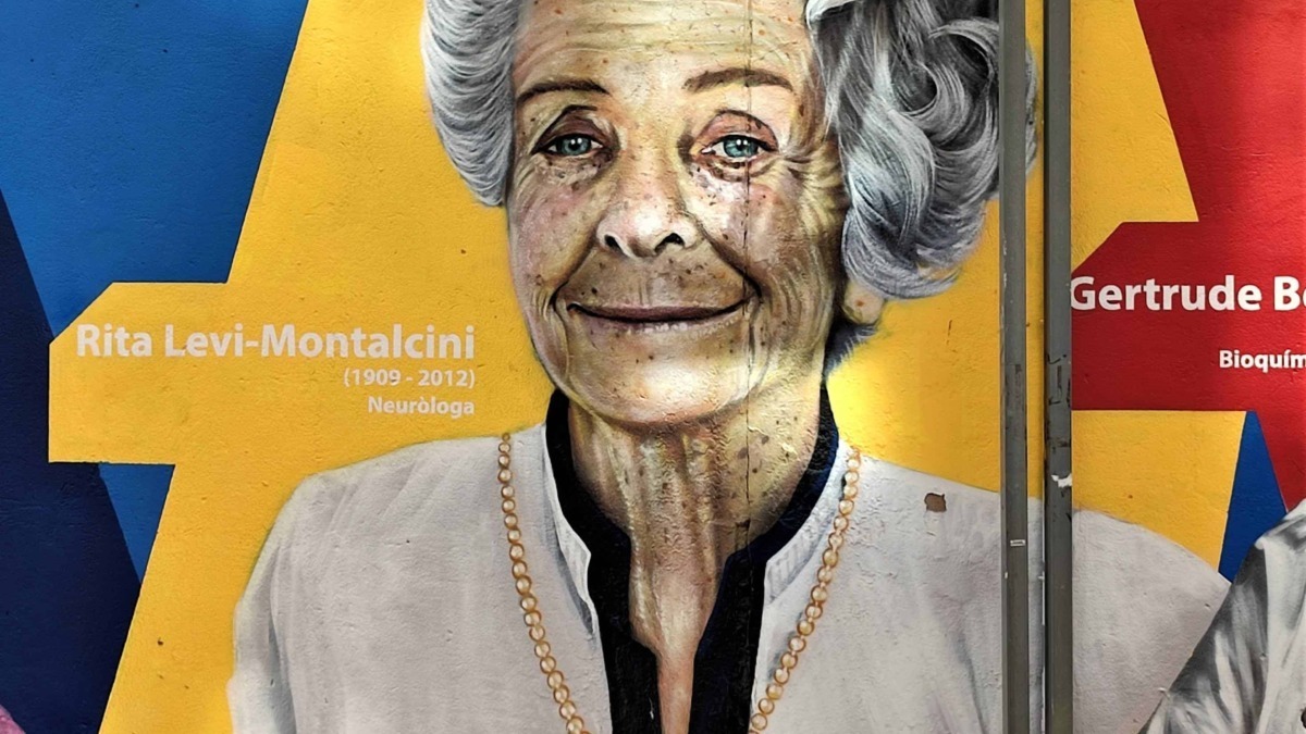Ritratto mural di Rita Levi-Montalcini, neuroscienziata italiana, iconica figura della scienza e simbolo di innovazione e ricerca. Murale colorato con nome e date di nascita e morte.