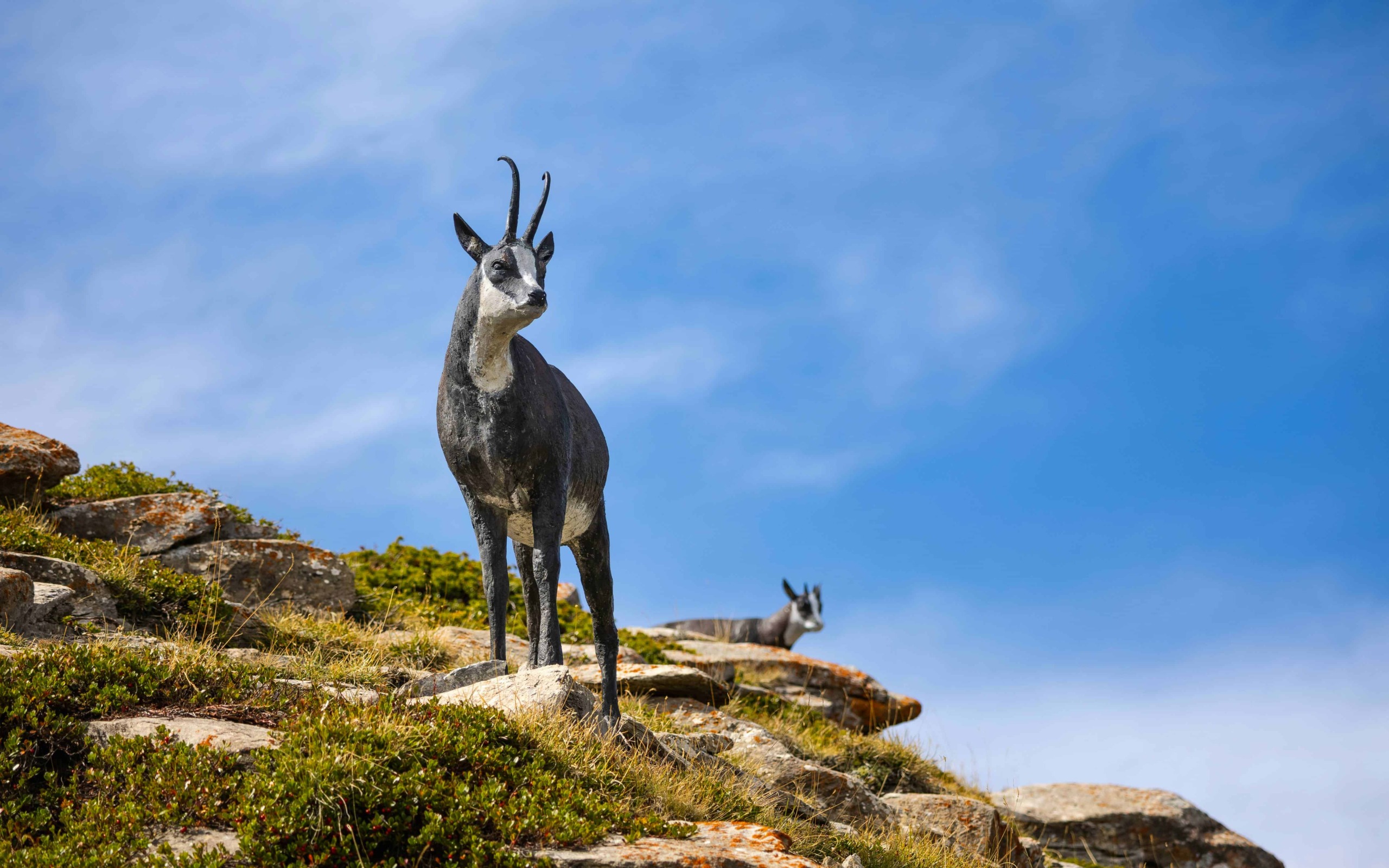 Parco Nazionale della Majella, 12 attrazioni in Abruzzo 4 Alt text: Statua di un cervo con corna nerose su un'altura rocciosa sotto un cielo azzurro, con un altro cervo visibile sullo sfondo, immersa in un paesaggio naturale incontaminato.