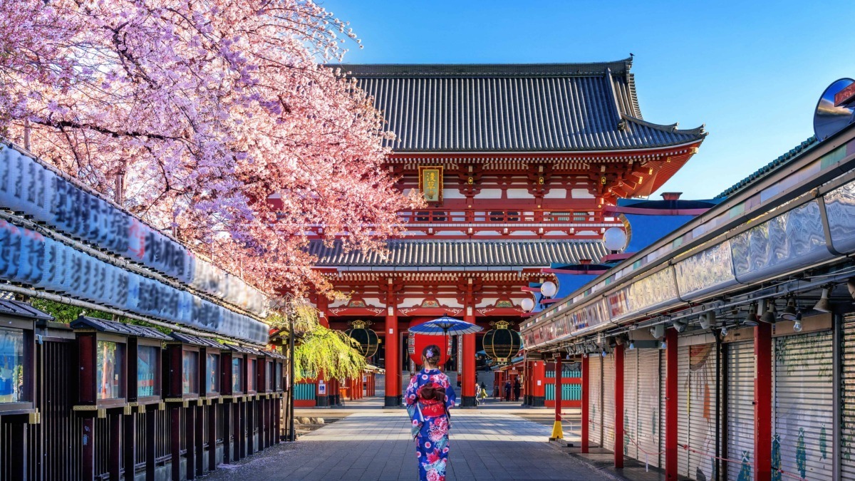 Femminuna in kimono tradizionale giapponese sotto fiori di ciliegio in sacura a Tokyo.