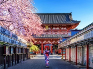 Femminuna in kimono tradizionale giapponese sotto fiori di ciliegio in sacura a Tokyo.
