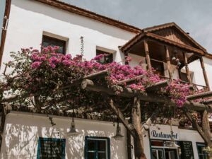 Finestra e balcone di un ristorante in stile rustico con legno naturale e fiori di bougainvillea rosa, atmosfera mediterranea e filming di cucina tradizionale italiani.
