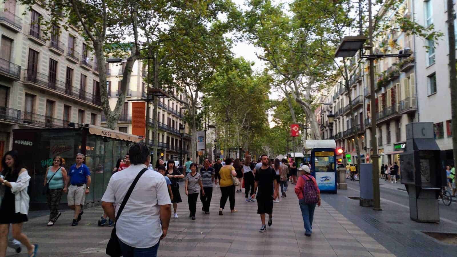 Scopri il cuore di Barcellona: una guida a Plaza Catalunya e oltre!