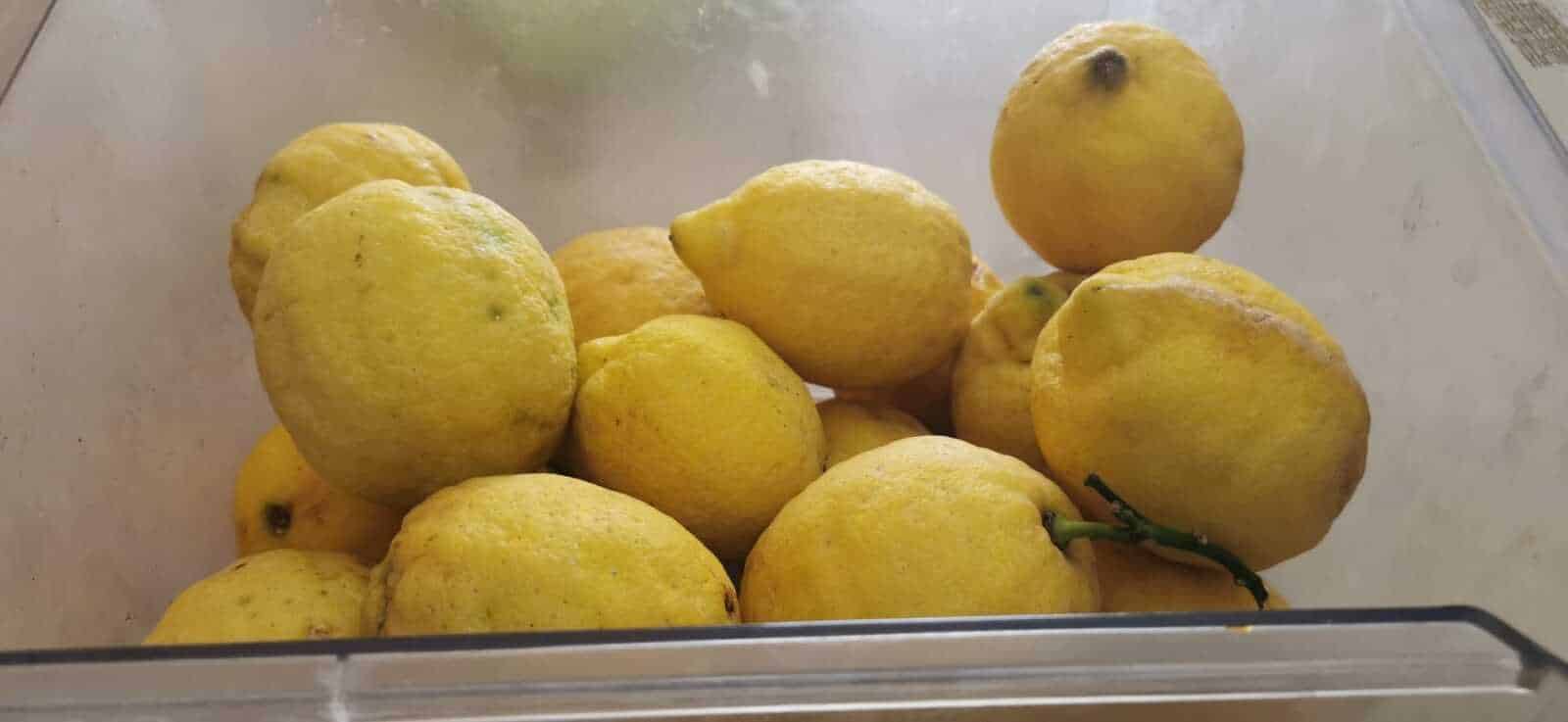 Limoni gialli freschi raccolti in contenitore, frutta naturale, coltivazione di agrumi, prodotti biologici, decorazione natalizia o cucina mediterranea.