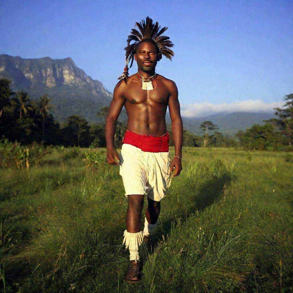 L'Ultimo dei Mohicani: analisi dei temi principali