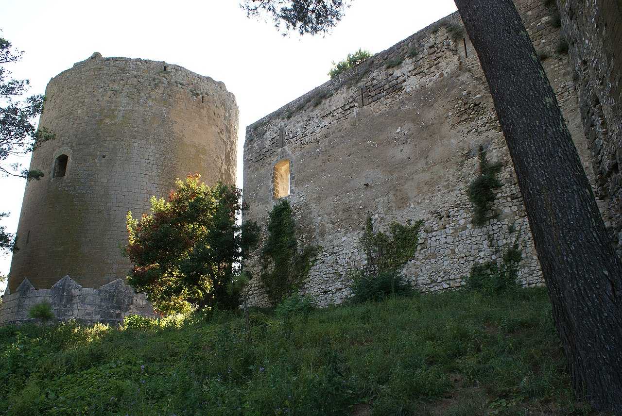 Antica torre e mura di castello in pietra, immersi nel verde con alberi e vegetazione, testimonianza storica di fortificazioni medievali nel paesaggio naturale italiano.