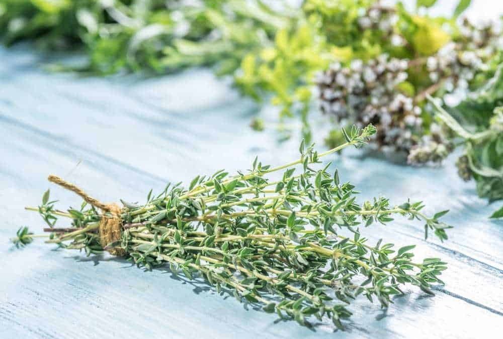 Tonico a base di erbe aromatiche, come timo, rosmarino e origano, ideale per cucina e rimedi naturali, presentato su sfondo in legno chiaro, simbolo di naturalezza e benessere, appunti sul blog.