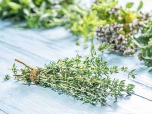Tonico a base di erbe aromatiche, come timo, rosmarino e origano, ideale per cucina e rimedi naturali, presentato su sfondo in legno chiaro, simbolo di naturalezza e benessere, appunti sul blog.