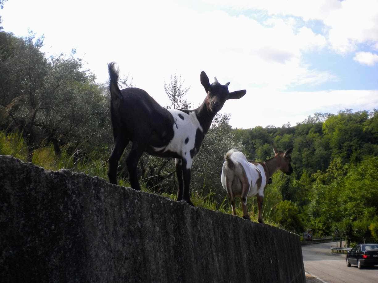 Cosa vedere a Manoppello e dintorni in Abruzzo