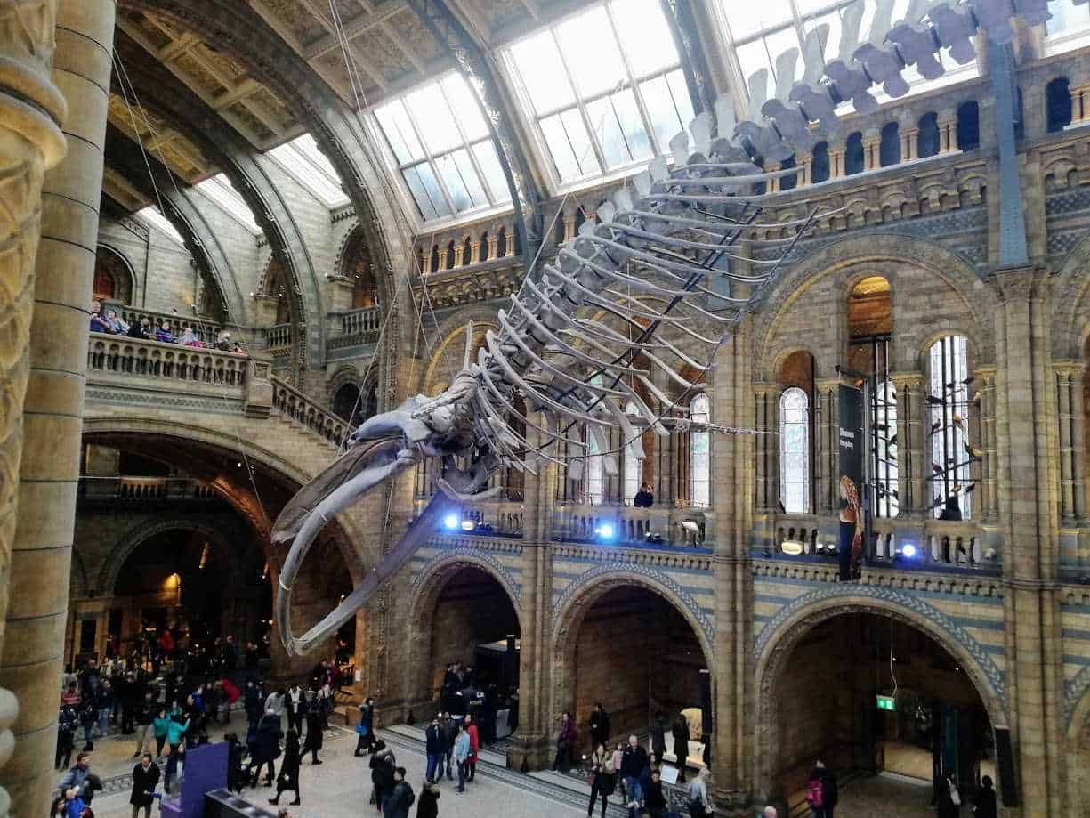 File da verificare, relevanto per articoli di viaggi e musei.