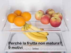 Oranges, mele e banane fresche in frigorifero per frutta non matura.