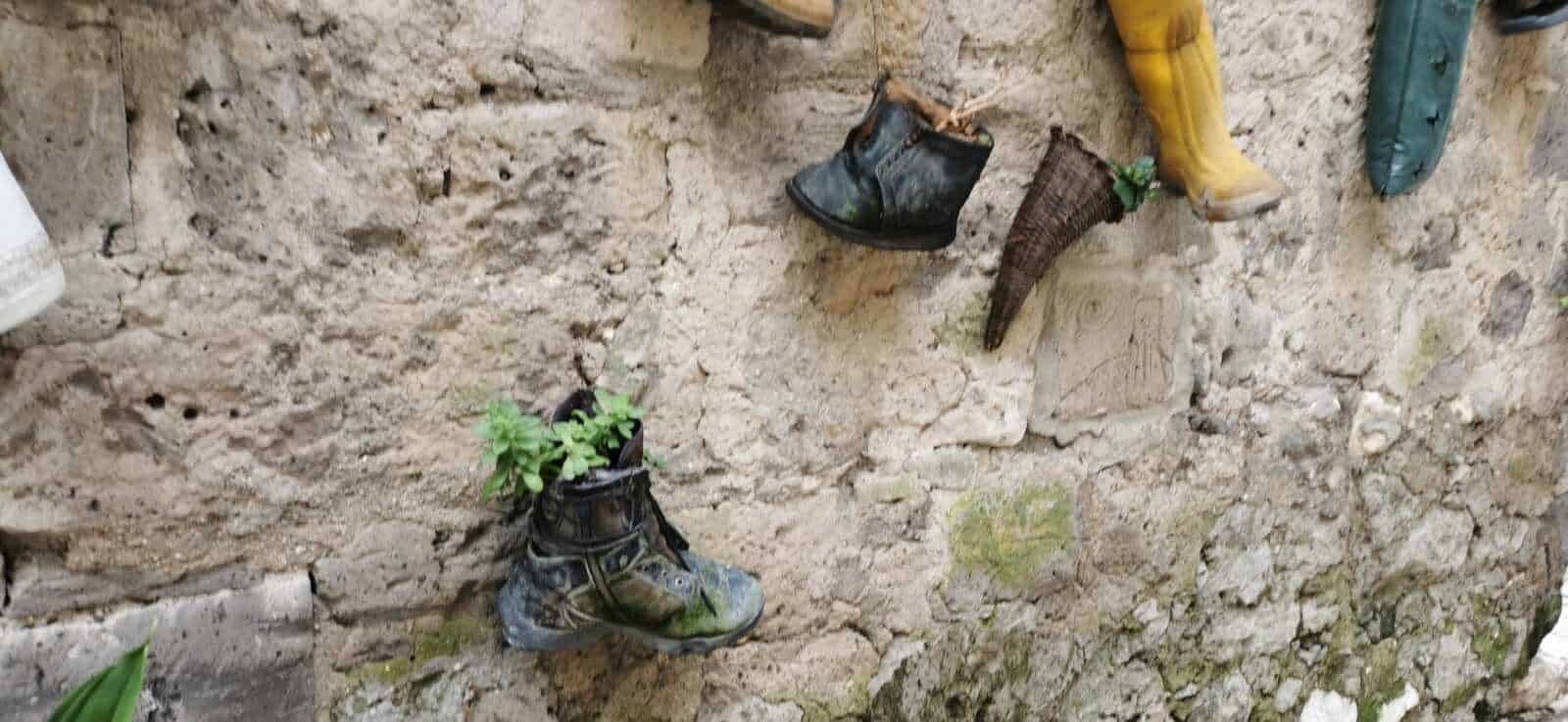 Scarpe usate con piante verdi che crescono al loro interno, appoggiate su un muro di pietra, simbolo di creatività e riciclo, perfette per il blog Appunti Sul Blog.