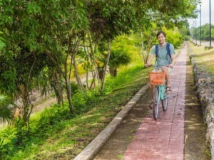Ciclista sorridente su pista ciclabile immersa nel verde, in viaggio rilassante tra natura e relax, promuovendo uno stile di vita attivo e sostenibile.