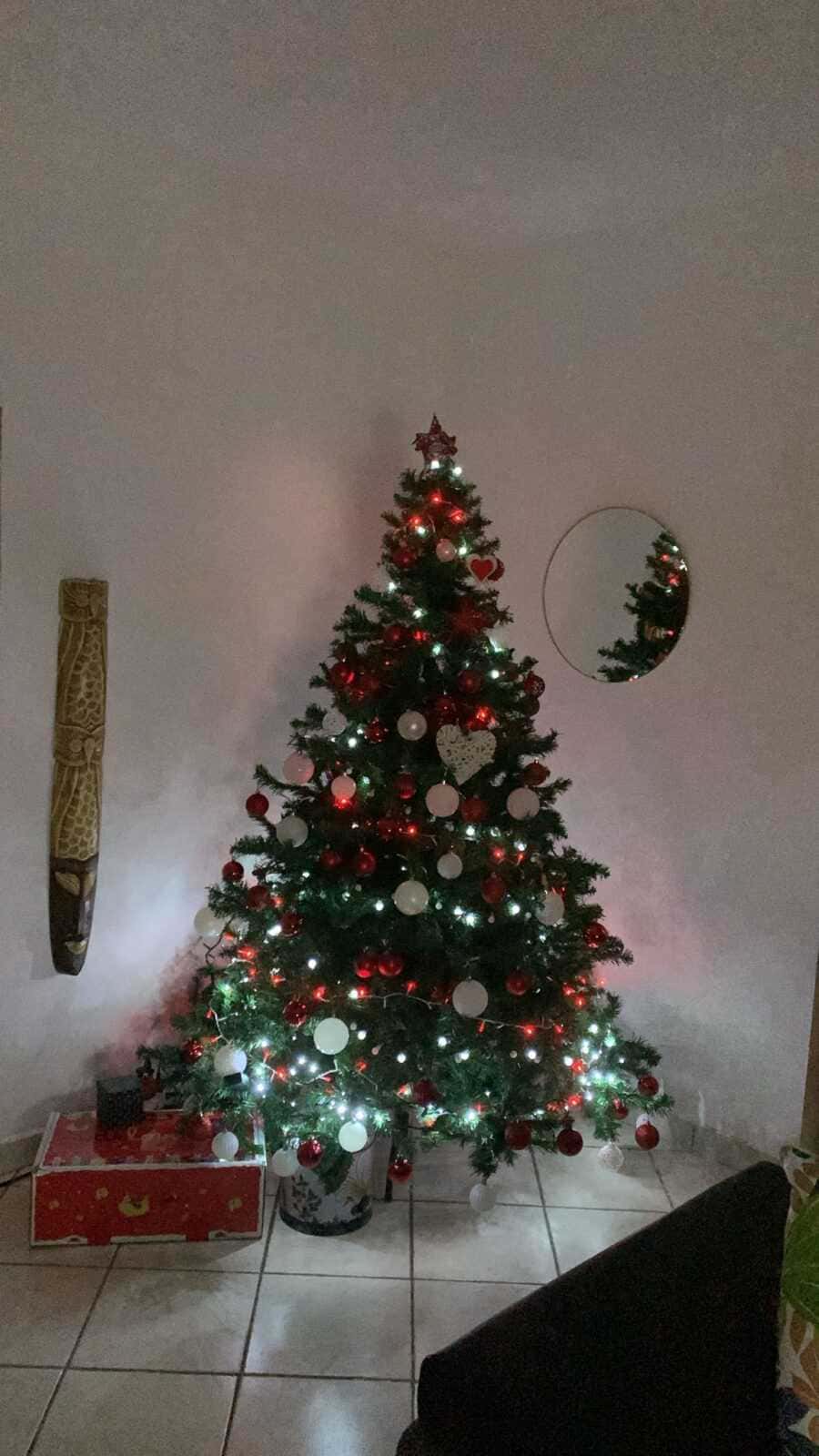 Quando si fa l'albero di Natale in Italia