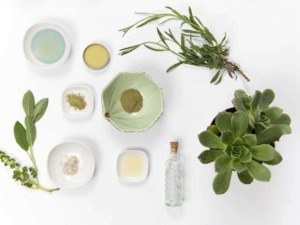Filemame: ingredienti oli essenziali per cure naturali