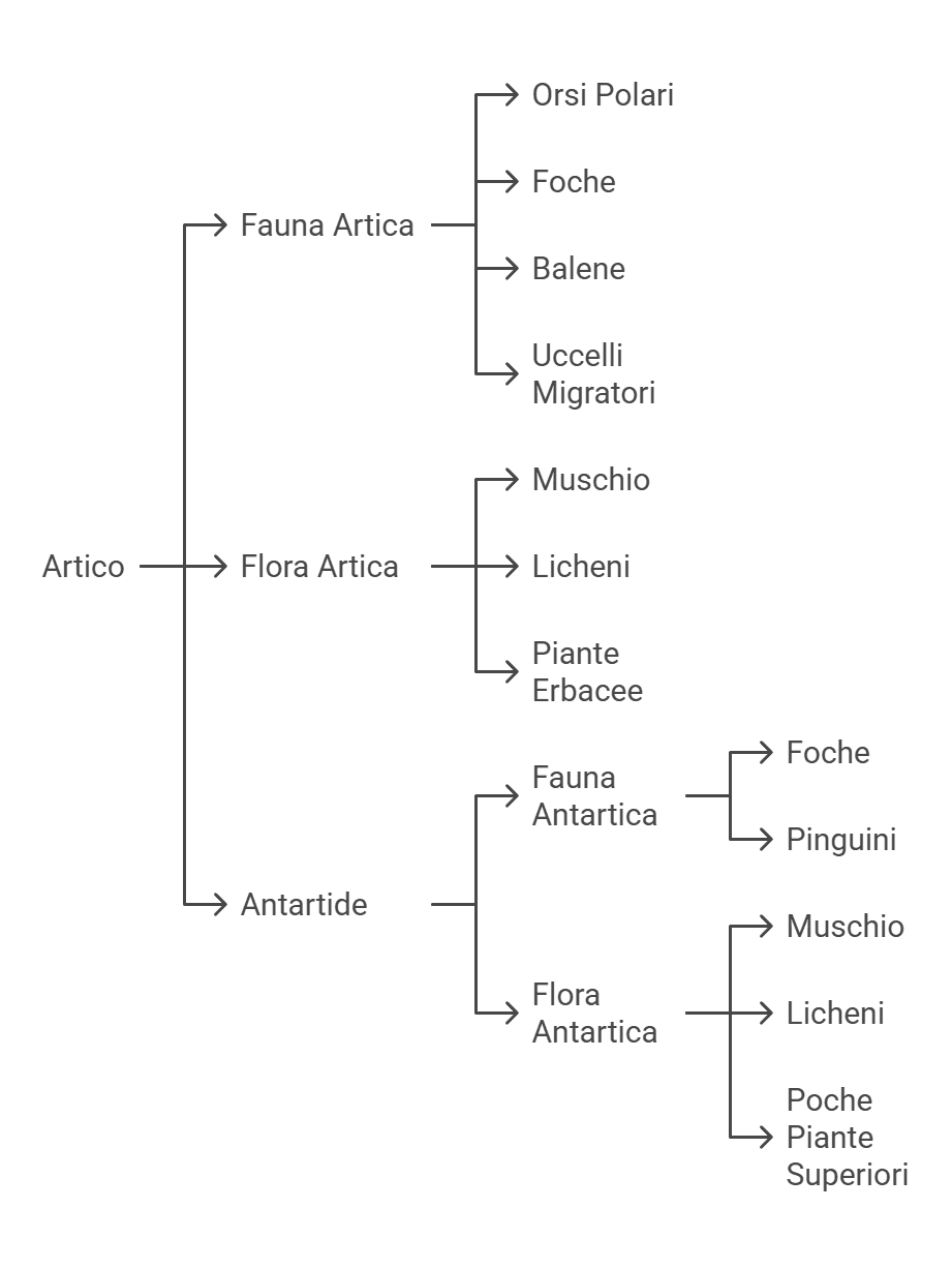 Orsi Polari e uccelli migratori nella fauna artica, con focus sulla biodiversità e gli habitat naturali dell'Artico, tra cui balene, foche e orsi polari.