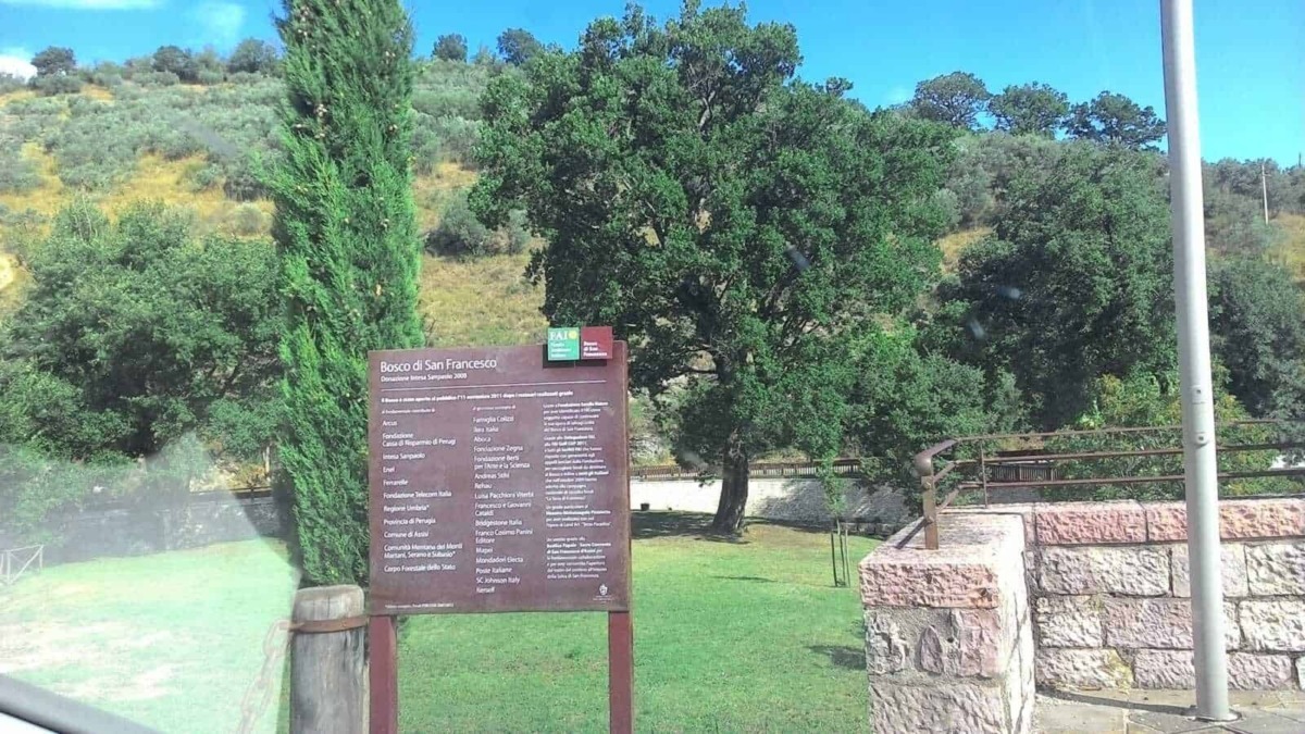 Bosco di San Francesco, parco naturale con alberi secolari, aree verdi e sentieri immersi nella natura, ideale per passeggiate e attività all'aperto in un ambiente protetto e tranquillo.