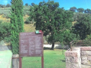 Bosco di San Francesco, parco naturale con alberi secolari, aree verdi e sentieri immersi nella natura, ideale per passeggiate e attività all'aperto in un ambiente protetto e tranquillo.