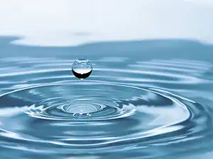 Goccia d'acqua che cade e crea cerchi concentrici sull'acqua, simbolo di fluidità e precisione nel potere dell'acqua naturale, ideale per contenuti sul blog come natura, scienza e benessere.