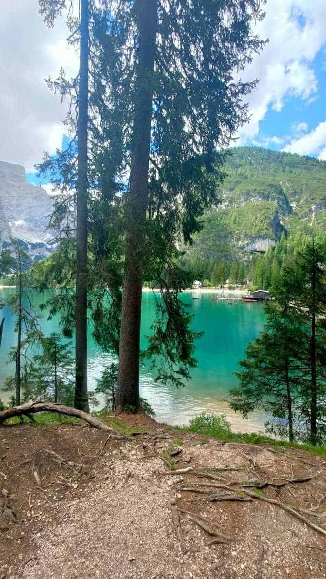 Walden am Strand mit hohen Bäumen und Bergblick, Lago di Braies, Italia, natura, paesaggio, lago alpino, bosco, montagna, relax.