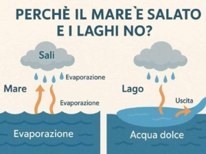 perche-il-mare-e-salato-e-i-laghi-no.jpg".