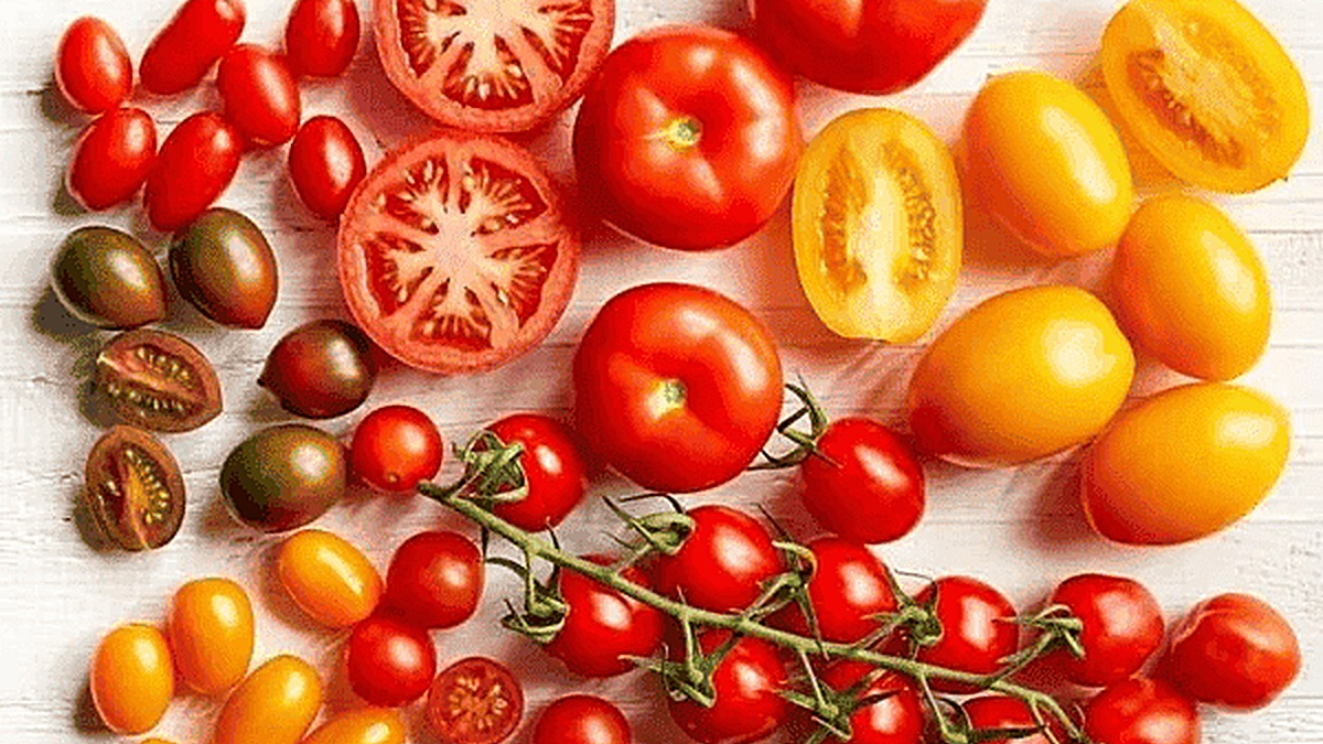 Pomodori di varie tipologie e colori, freschi e maturi, disposti su superficie in stile rustico, perfetti per insalate e ricette estive.